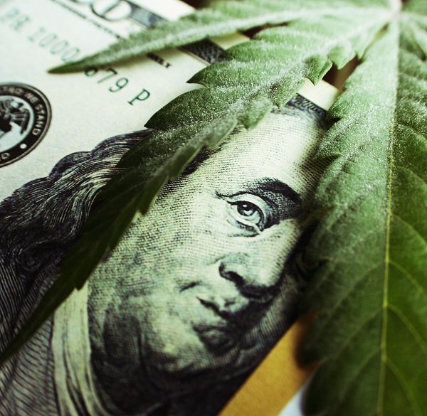 Photo of marijuana leaf and $100 bill